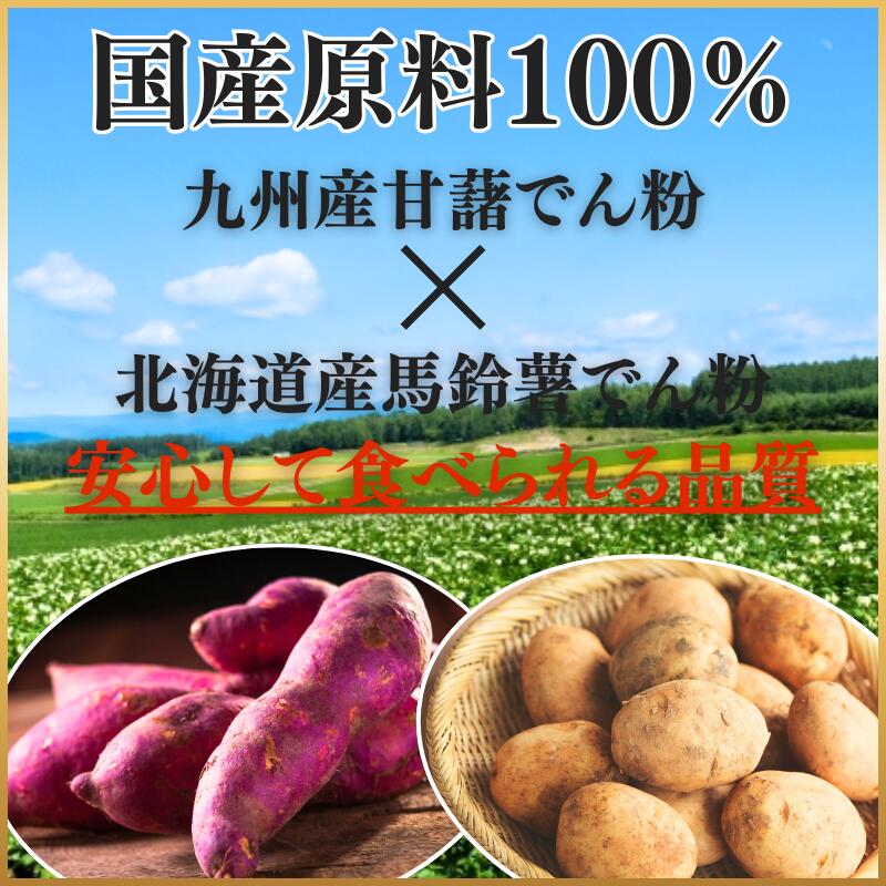 国産はるさめ商品　情報