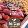 国産はるさめ商品　情報
